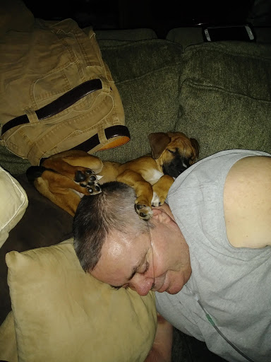 Pet Store «7 Seas Pet Care Center», reviews and photos, 13311 S Brandon Ave, Chicago, IL 60633, USA