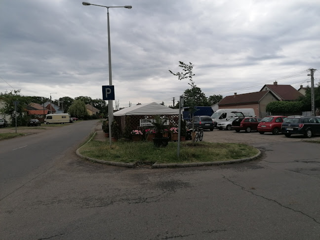 Bihari Stand Gyümölcsös Sátor - Debrecen