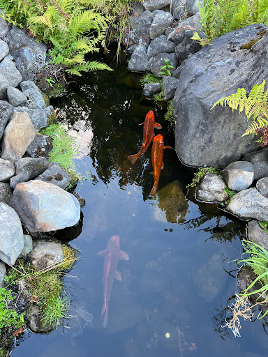 Casino «Spirit Mountain Casino», reviews and photos, 27100 Salmon River Hwy, Grand Ronde, OR 97347, USA