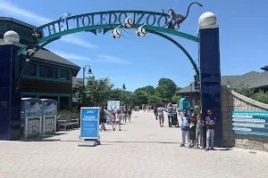 Toledo Zoo image