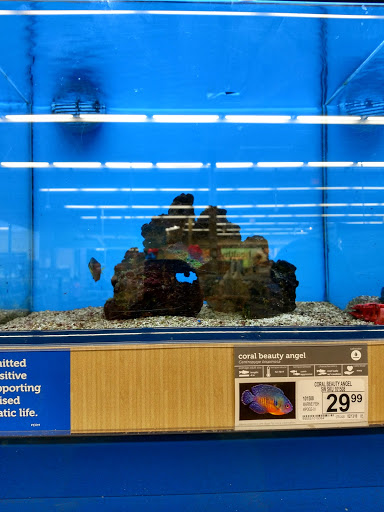 Pet Supply Store «Petco Animal Supplies», reviews and photos, 21348 Kuykendahl Rd, Spring, TX 77379, USA