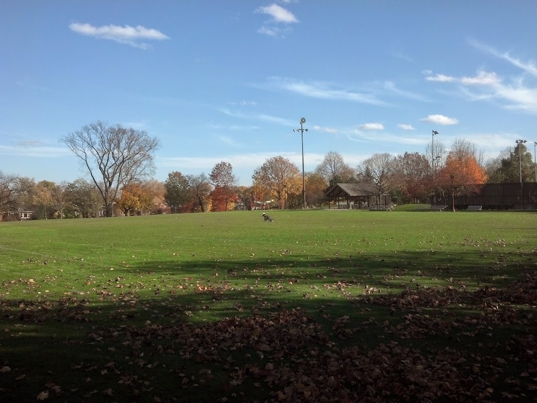 Taylor Park