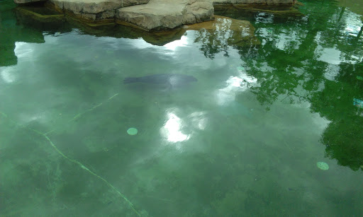 Amusement Park «Como Town», reviews and photos, 1301 Midway Pkwy, St Paul, MN 55103, USA