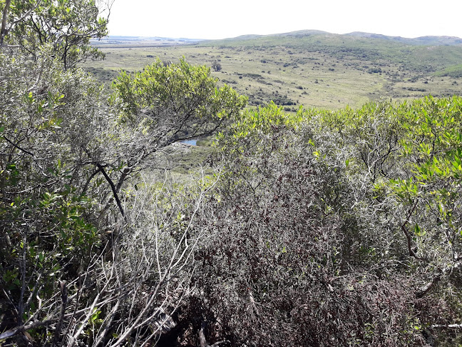 Virgen De Los Salesianos - Camping