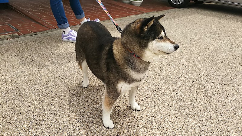 永田動物病院