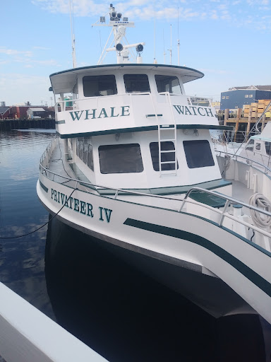 Cruise Agency «Capt. Bill & Sons Whale Watch», reviews and photos, 24 Harbor Loop, Gloucester, MA 01930, USA