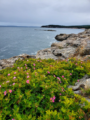 Sightseeing Tour Agency «Acadia National Park Tours», reviews and photos, 53 Main St, Bar Harbor, ME 04609, USA