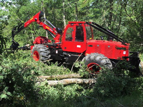 Magasin de bois de chauffage EXPLOITATION FORESTIERE ALVES GEORGES ET FILS Mercus-Garrabet