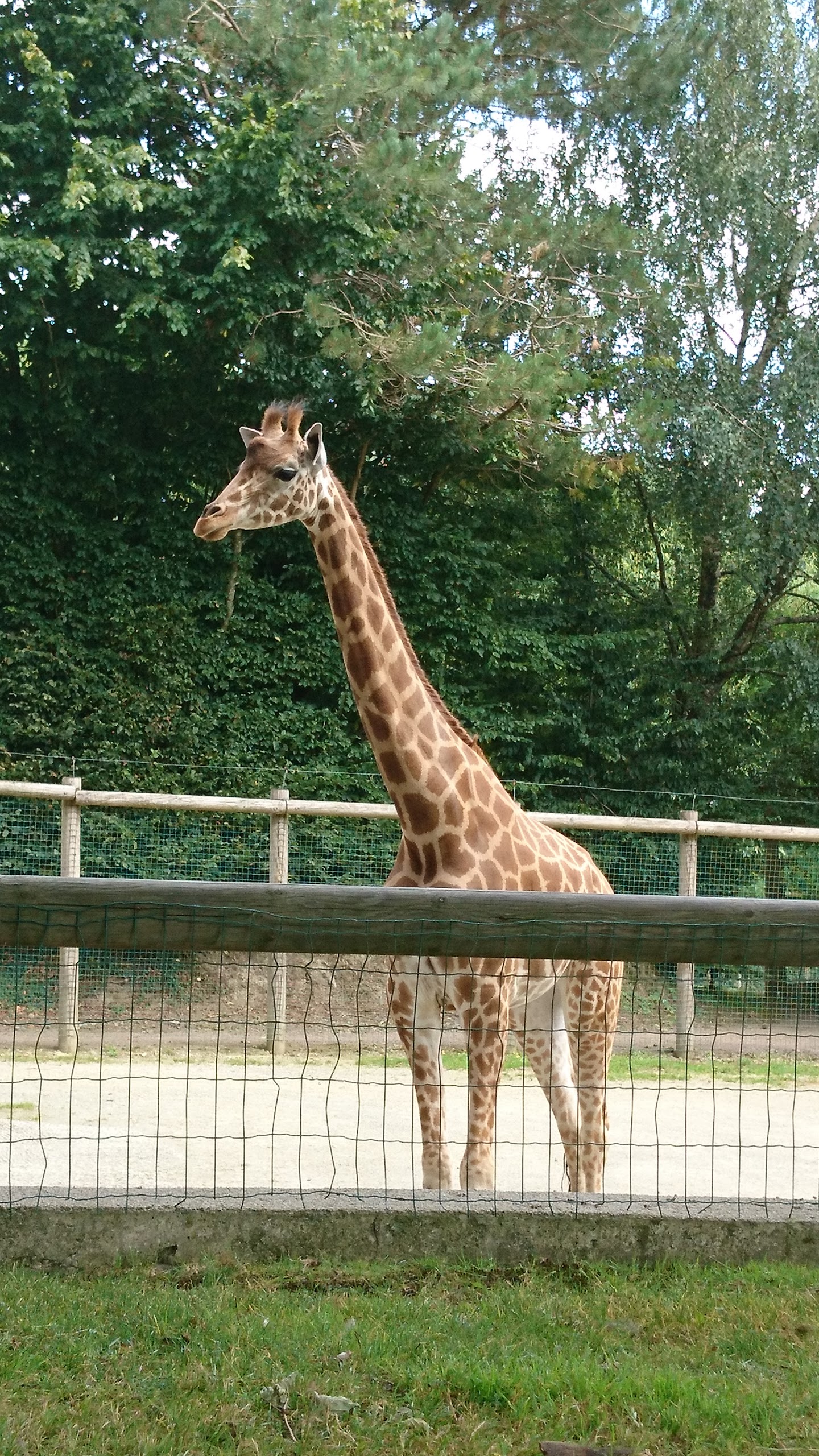 Photo n° 24 de l'avis de Philippe.e fait le 07/08/2017 à 14:04