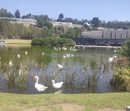 Parque Lago de La Concordia photo