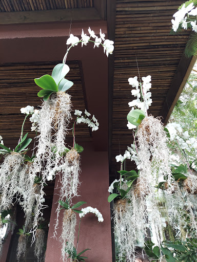 Gift Shop «NYBG Shop», reviews and photos, 2900 Southern Blvd, Bronx, NY 10458, USA