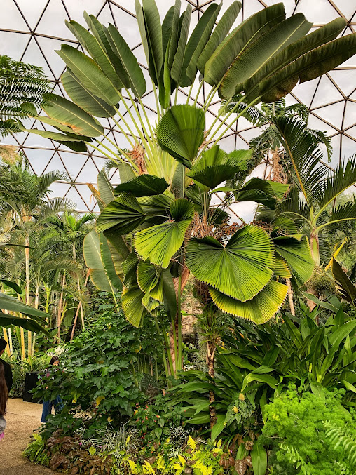 Greater Des Moines Botanical Garden