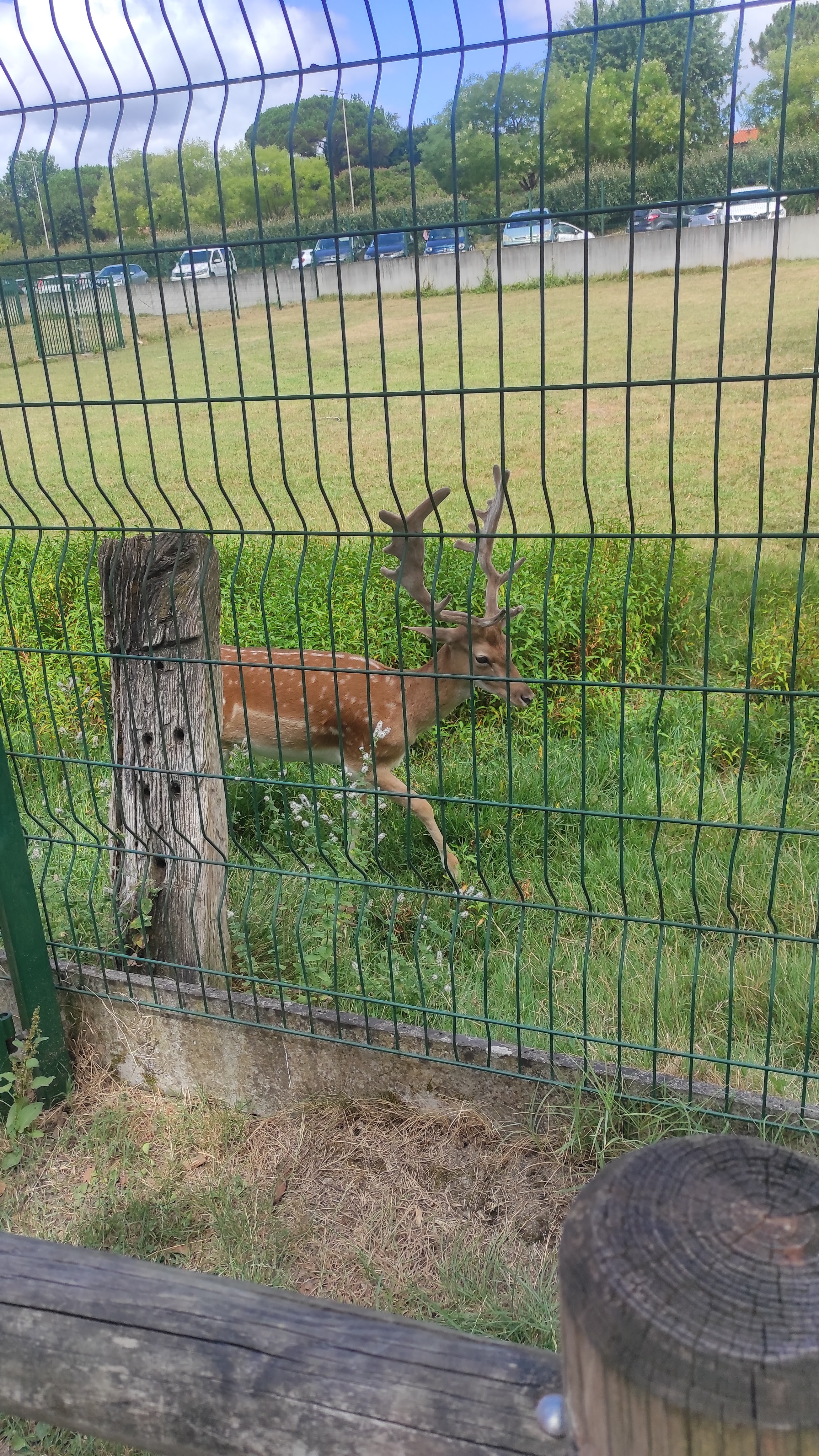 Photo n° 2 de l'avis de Phi.o fait le 27/07/2022 à 01:16