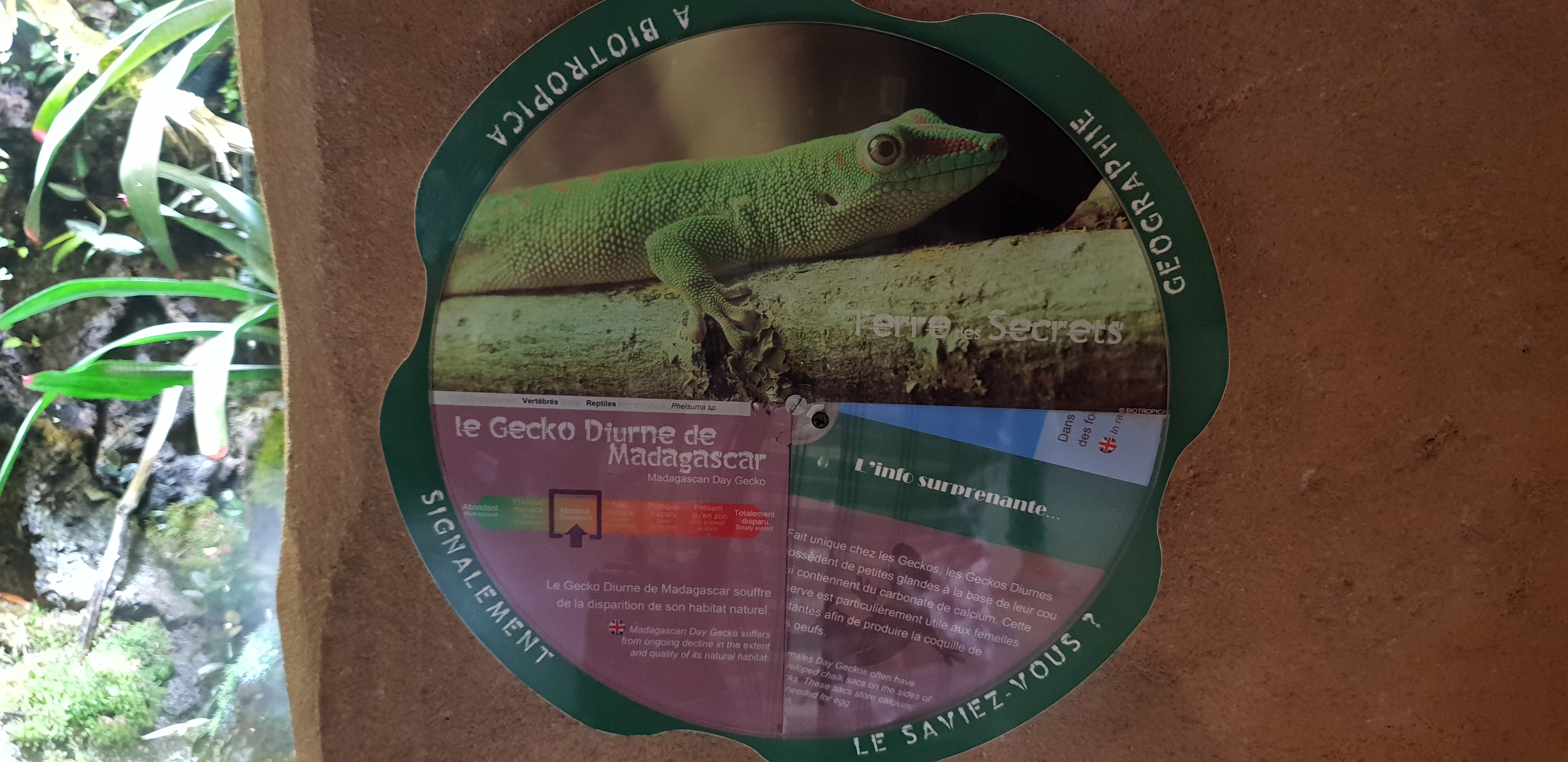 Photo n° 29 de l'avis de Dominique.A fait le 20/04/2018 à 18:56