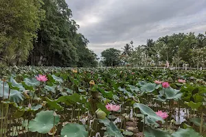 Forest Eco Park image