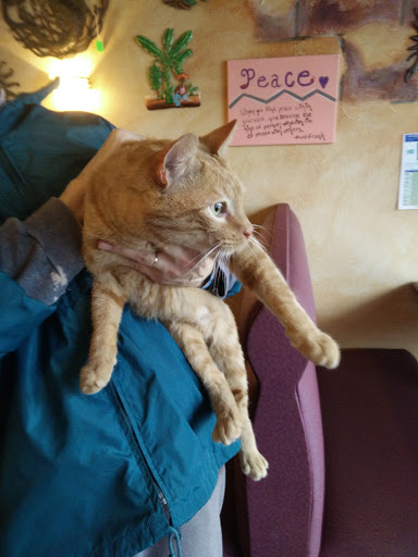 Caribbean Restaurant «Haitian Sensation Coffee Shop», reviews and photos, 869 E State St, Sharon, PA 16146, USA