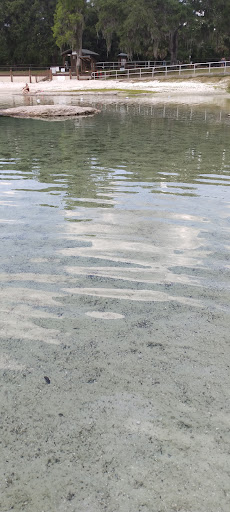 Park «Lithia Springs Park», reviews and photos, 3932 Lithia Springs Rd, Lithia, FL 33547, USA