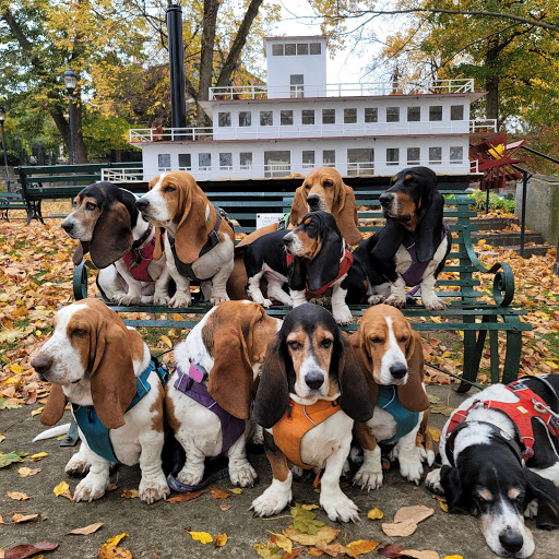 Park «George Rogers Clark Park», reviews and photos, 219 Riverside Dr, Covington, KY 41011, USA