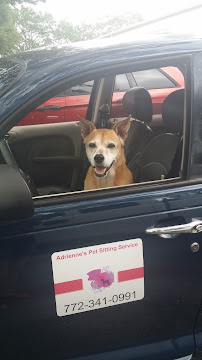 Treasure Coast Auto Repair - Photo 4 - Car repair in Port St. Lucie, FL, Port St. Lucie