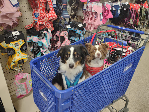 Pet Supply Store «PetSmart», reviews and photos, 1733 S Stapley Dr, Mesa, AZ 85204, USA