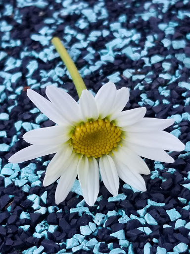 Park «Abernathy Greenway», reviews and photos, 70 Abernathy Rd NE, Sandy Springs, GA 30328, USA