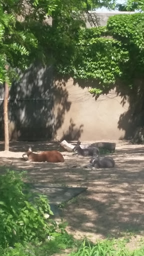 Zoo «Farm In The Zoo», reviews and photos, 1911 N Stockton Dr, Chicago, IL 60614, USA