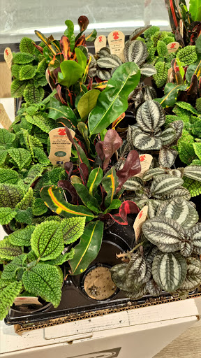 Supermarket «Best Market Massapequa», reviews and photos, 5601 Merrick Rd, Massapequa, NY 11758, USA