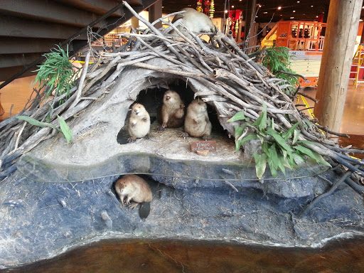 Shopping Mall «Green Tree Mall», reviews and photos, 757 E Lewis and Clark Pkwy, Clarksville, IN 47129, USA