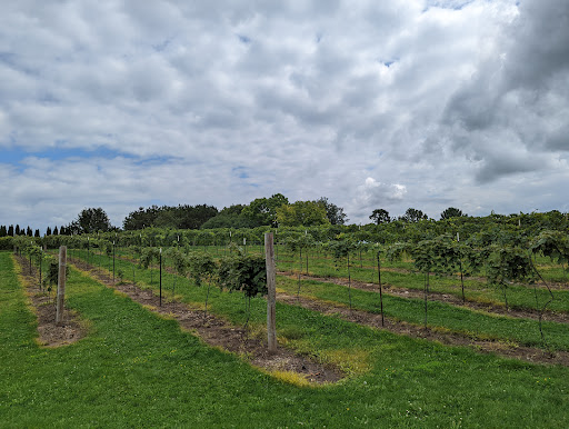 Winery «Drumlin Ridge Winery», reviews and photos, 6000 River Rd, Waunakee, WI 53597, USA