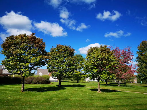 Golf Course «Springfield Oaks Golf Course», reviews and photos, 12450 Andersonville Rd, Davisburg, MI 48350, USA