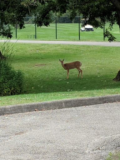 Golf Course «Meadowlark Golf Course», reviews and photos, 11599 31st St, Hinsdale, IL 60521, USA