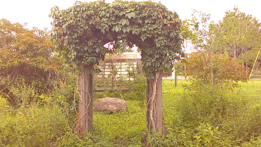 Park «Alafia River State Park», reviews and photos, 14326 S County Rd 39, Lithia, FL 33547, USA