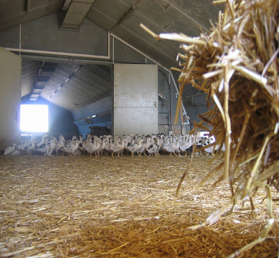 La Ferme du Roc à Cambiac