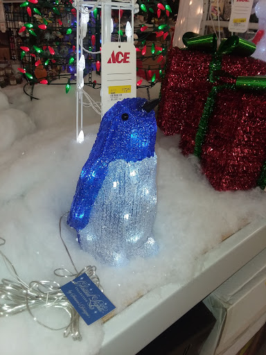 Hardware Store «Vision Ace Hardware», reviews and photos, 1750 Main St, Dunedin, FL 34698, USA