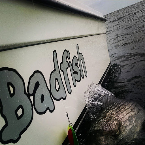 Fishing Charter «Badfish Fishing Charters», reviews and photos, 680 Bay Ave, Somers Point, NJ 08244, USA