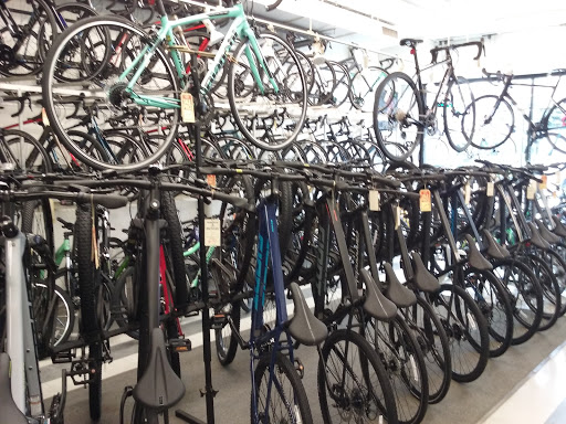 Bicycle Store «Roberts Bicycles», reviews and photos, 33-13 Francis Lewis Blvd, Flushing, NY 11358, USA