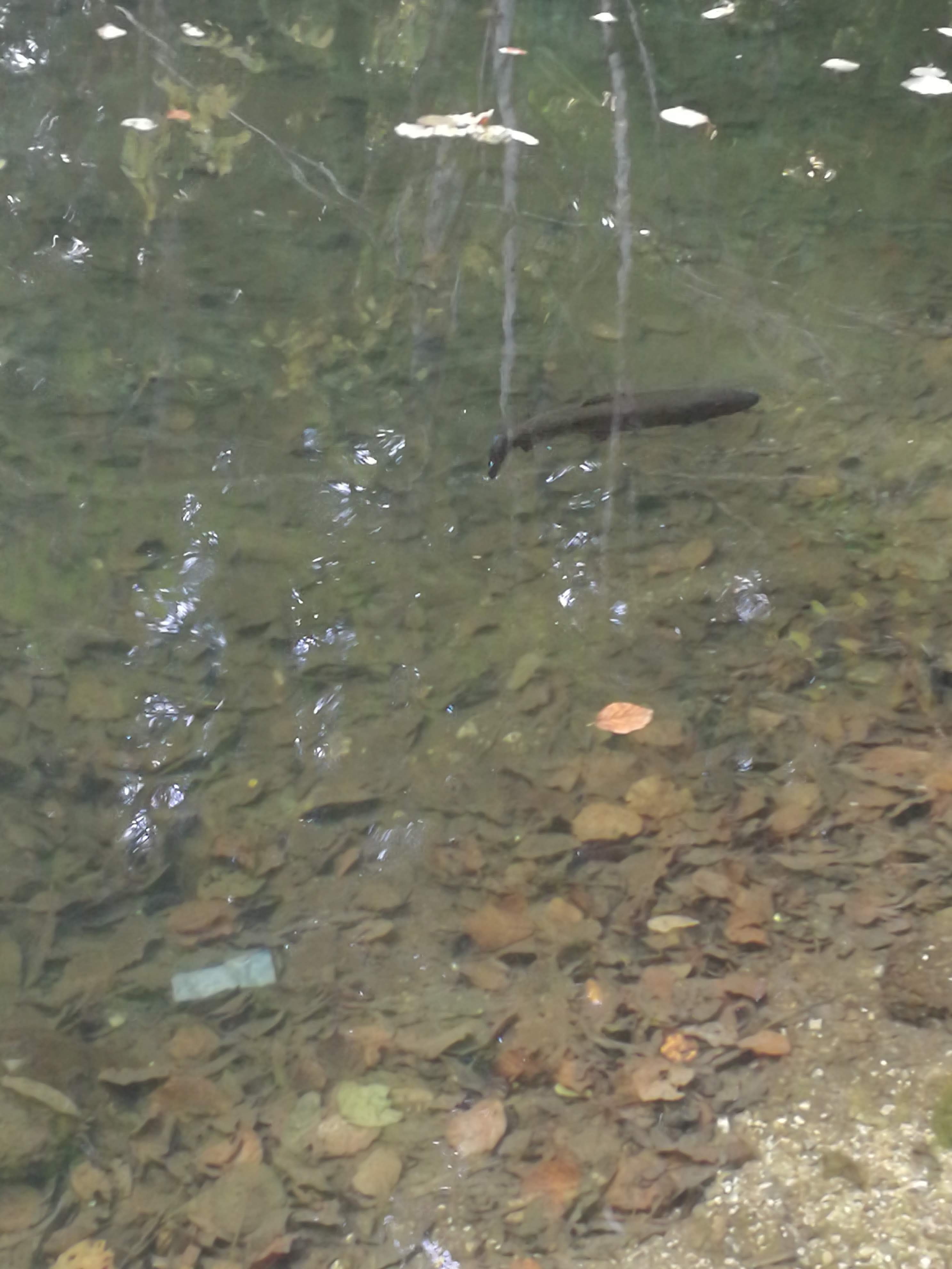 Photo n° 4 de l'avis de Marcel.a fait le 20/11/2019 à 06:38