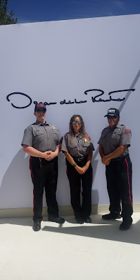 Alert Guard Services, LLC - Photo 2 - Car repair in Dallas, TX, Dallas