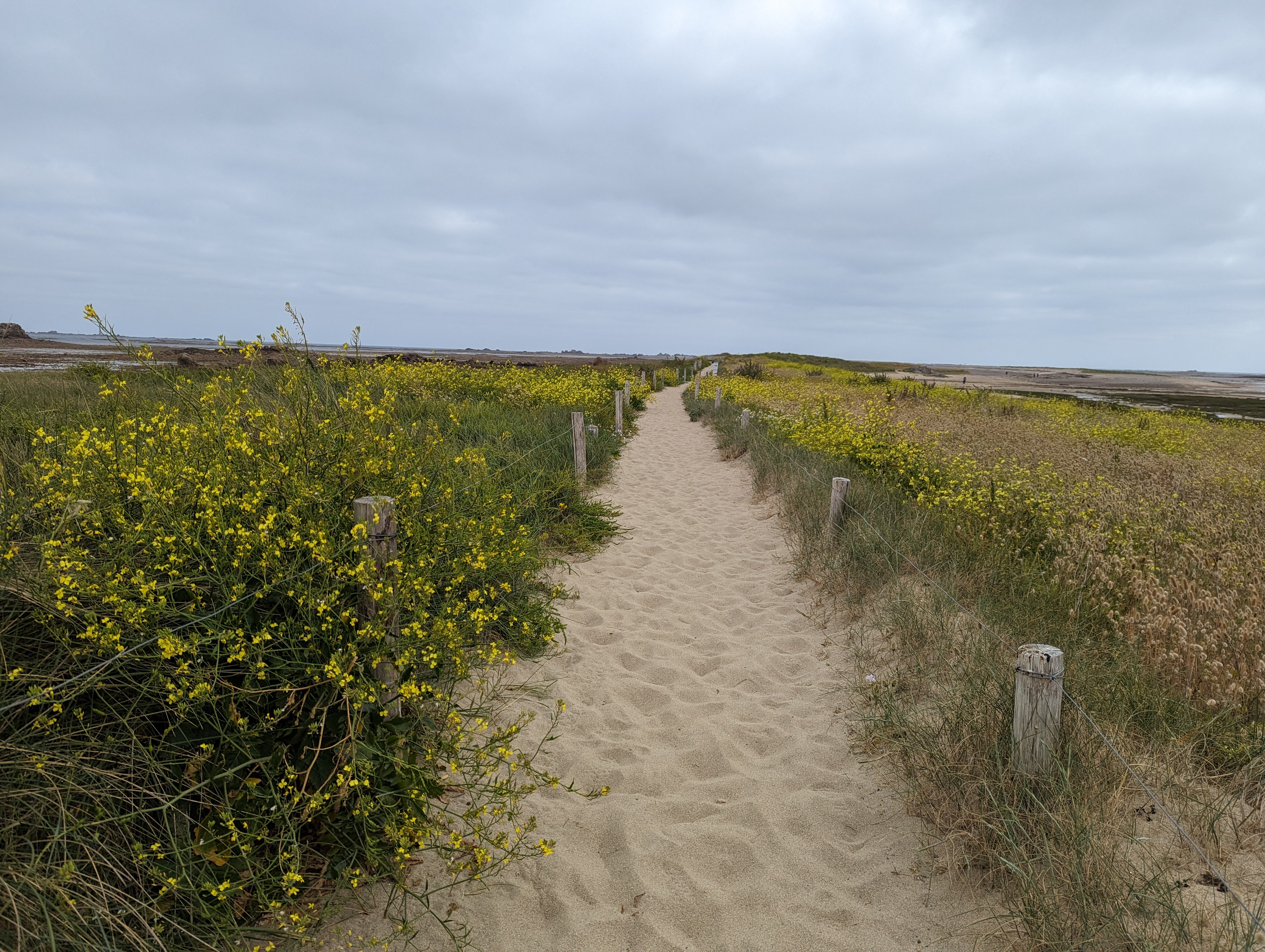 Photo n° 2 de l'avis de Erwan.i fait le 02/06/2023 à 12:28