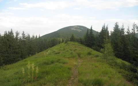 Gorgany Nature Preserve image