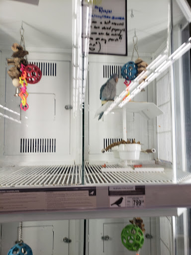 Pet Supply Store «Petco Animal Supplies», reviews and photos, 585 E Wetmore Rd, Tucson, AZ 85705, USA