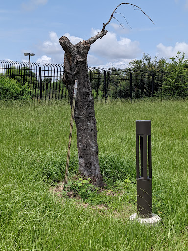 Post Office «USPS», reviews and photos, 8825 Hwy 6 N, Houston, TX 77095, USA