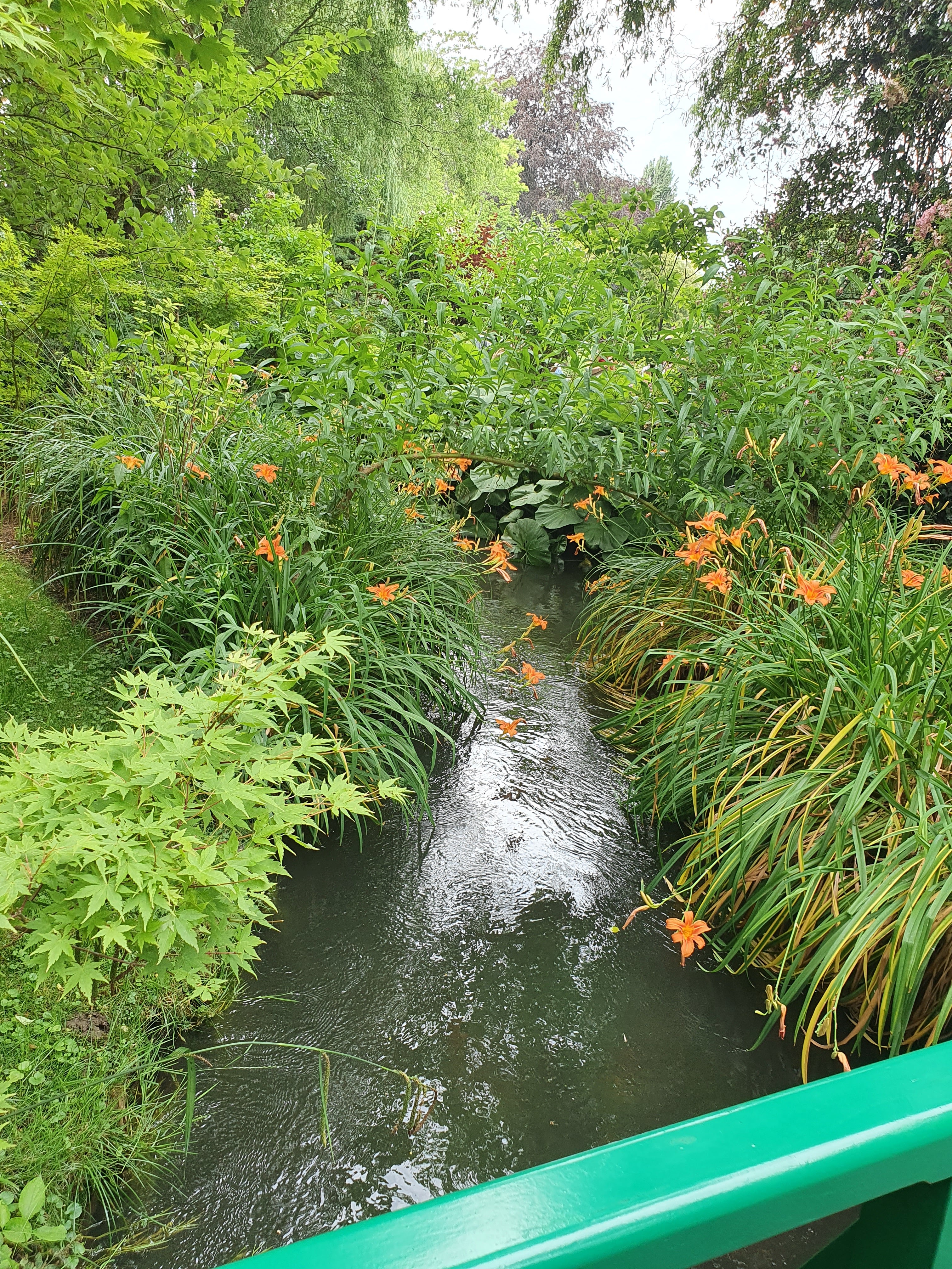 Photo n° 2 de l'avis de Nadia.o fait le 20/06/2023 à 07:55