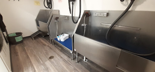 Pet Supply Store «Pet Supplies Plus», reviews and photos, 2410 Laporte Ave, Valparaiso, IN 46383, USA