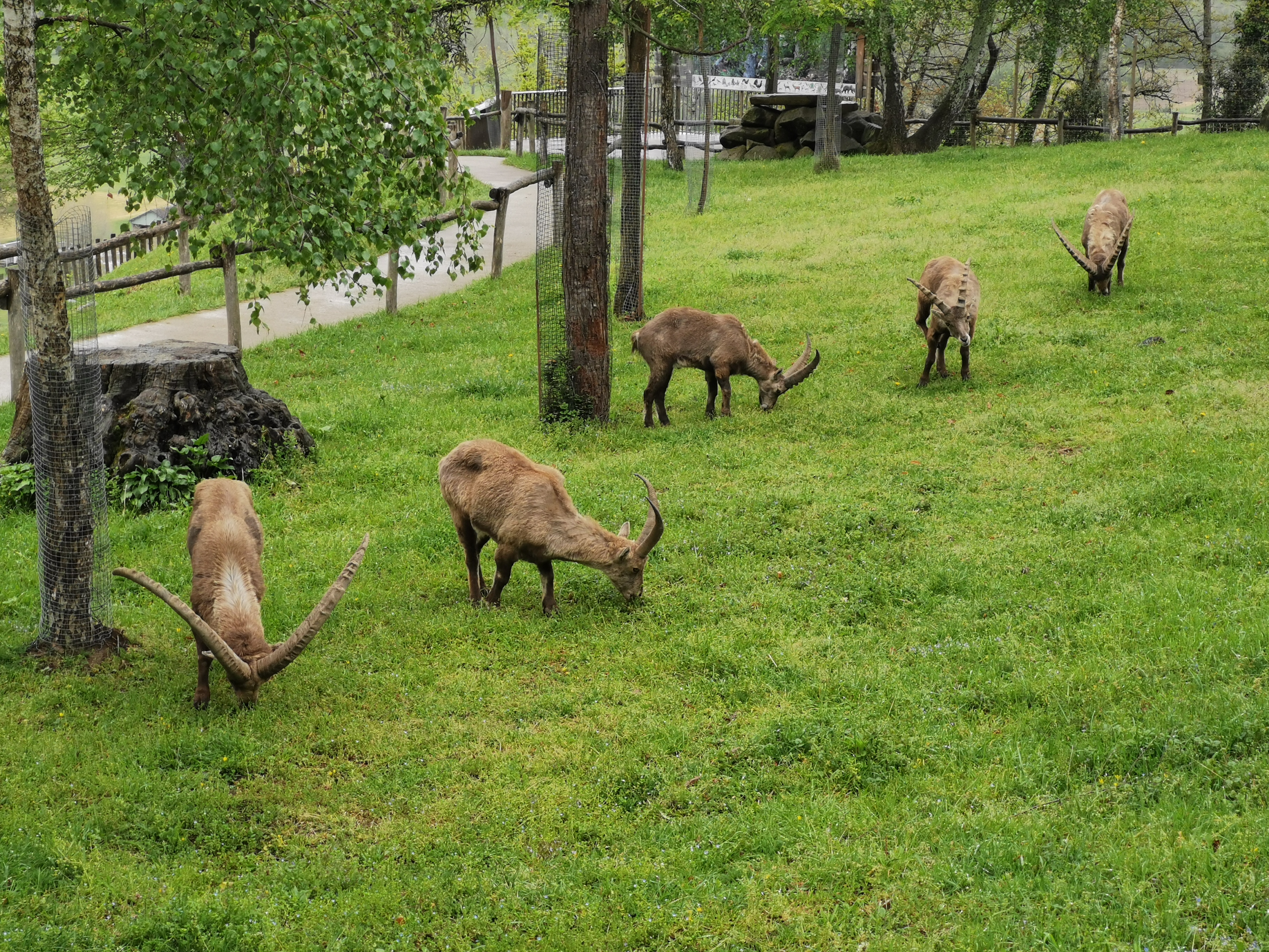 Photo n° 3 de l'avis de Alice-mae.o fait le 25/04/2023 à 14:00