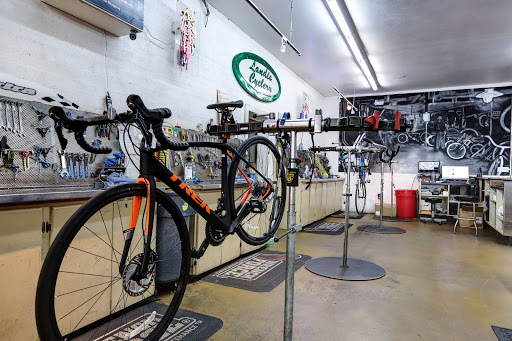 Bicycle Store «Landis Cyclery», reviews and photos, 712 W Indian School Rd, Phoenix, AZ 85013, USA