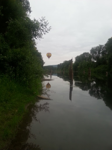 Tourist Attraction «Chehalem Paddle Launch», reviews and photos, 3100 SE 8th St, Dundee, OR 97115, USA