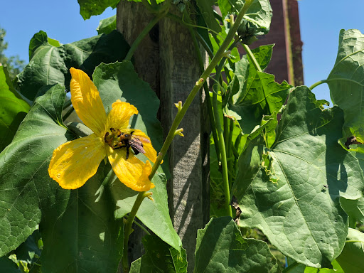Nature Preserve «Glendale Shoals Preserve», reviews and photos, Emma Cudd Rd, Spartanburg, SC 29302, USA