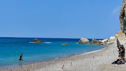 Fotografie cu Seagull Beach cu o linie de coastă spațioasă
