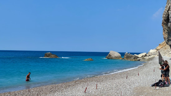 Seagull Beach